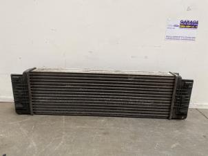 Gebruikte Intercooler Mercedes Sprinter 3t (906.61) 213 CDI 16V Prijs € 163,35 Inclusief btw aangeboden door Autoparts Van De Velde