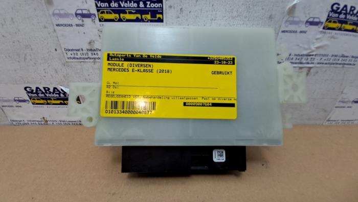 Module (divers) Mercedes E-Klasse