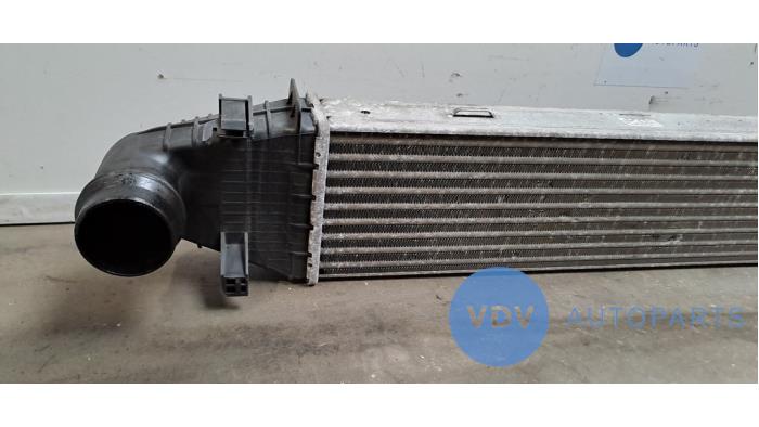 Intercooler Mercedes C-Klasse