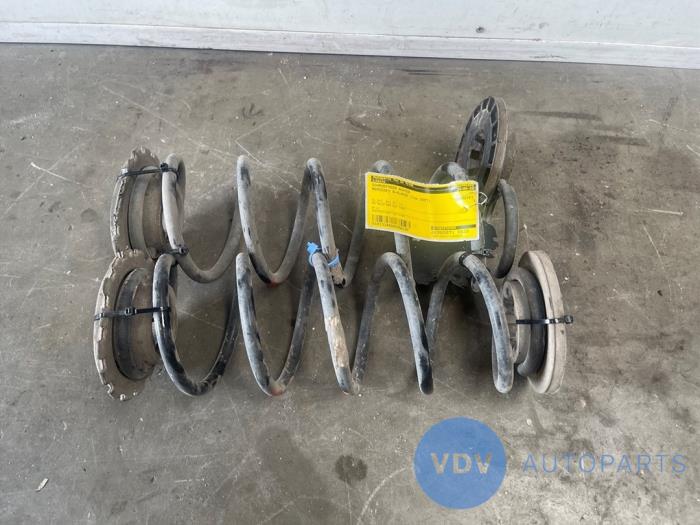 Rear coil spring