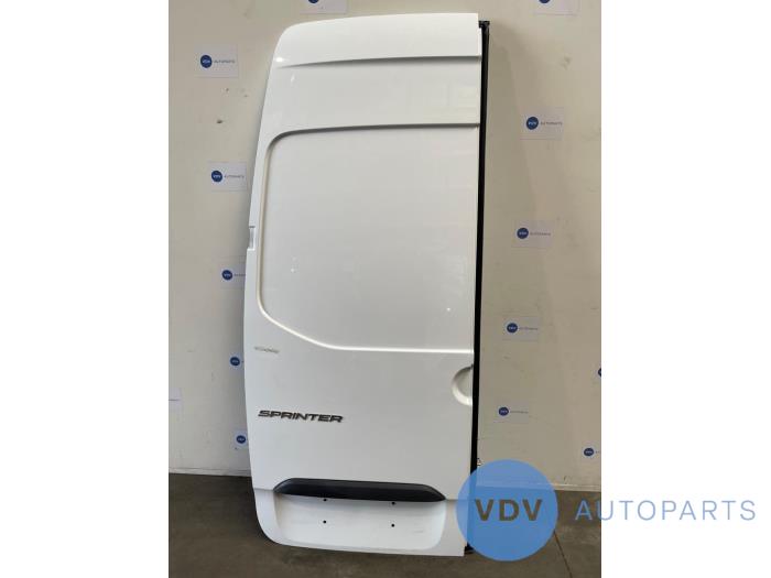 Minibus/van rear door