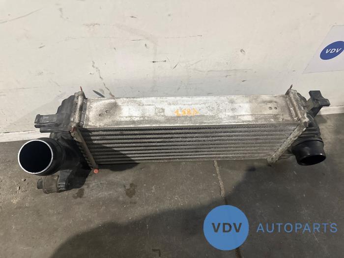 Intercooler Mercedes Citan