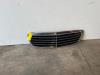 Mercedes-Benz E (W211) 2.2 E-200 CDI 16V Grille