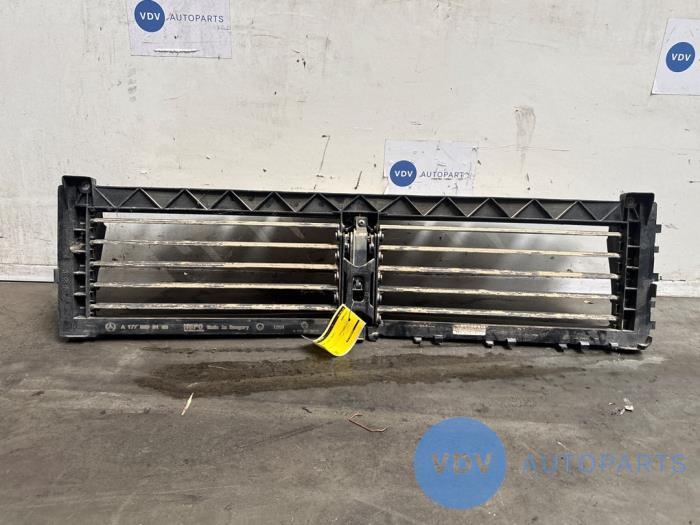 Bumper grille Mercedes A-Klasse