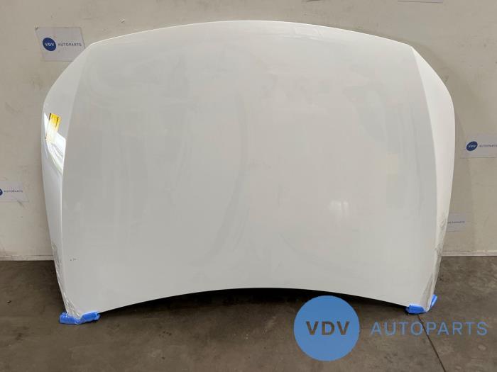 Bonnet