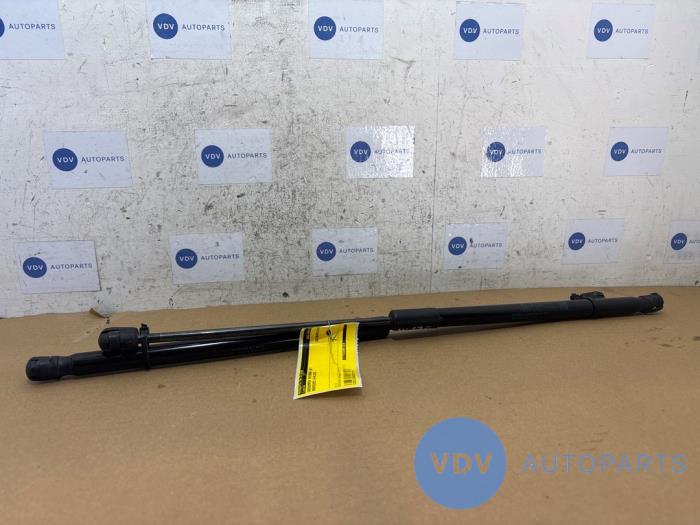 Set of bonnet gas struts