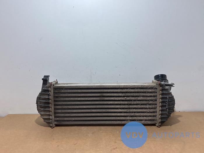Intercooler Mercedes Citan