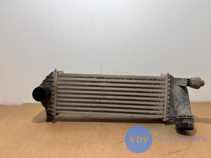 Intercooler Mercedes Citan