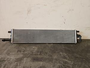 Gebruikte Radiateur Mercedes C (W206) C-180 1.5 EQ Boost Prijs € 127,05 Inclusief btw aangeboden door Autoparts Van De Velde