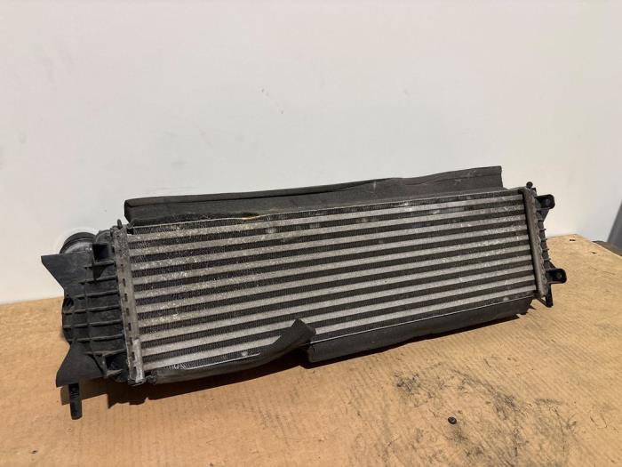Intercooler Mercedes X-Klasse