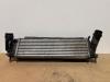 Mercedes-Benz X (470) 250d 16V 4-Matic Intercooler