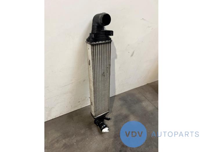 Chlodnica miedzystopniowa Mercedes C-Klasse