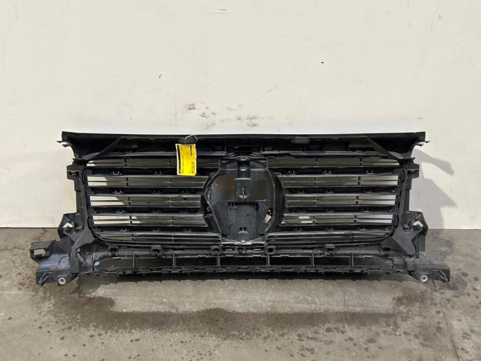 Grille Mercedes G-Klasse