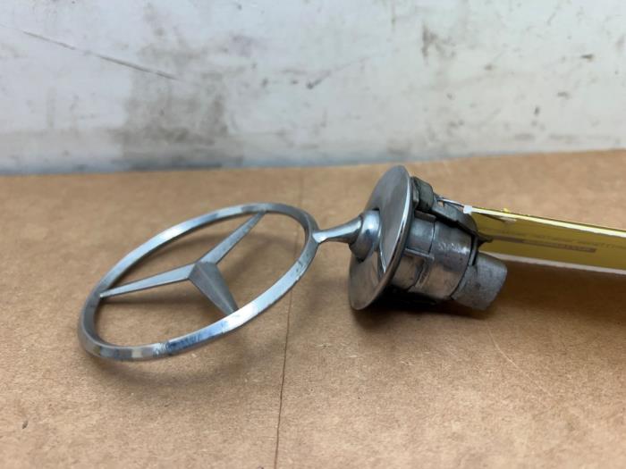 Star Mercedes S-Klasse