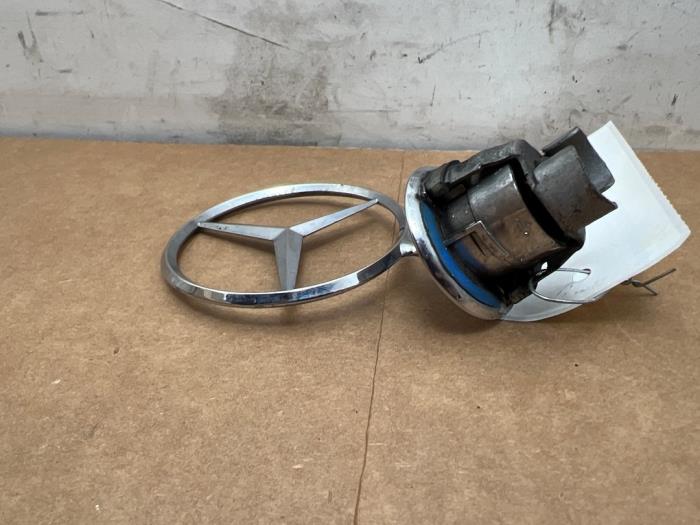 Star Mercedes S-Klasse