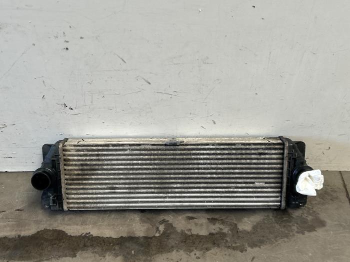 Intercooler Mercedes Sprinter