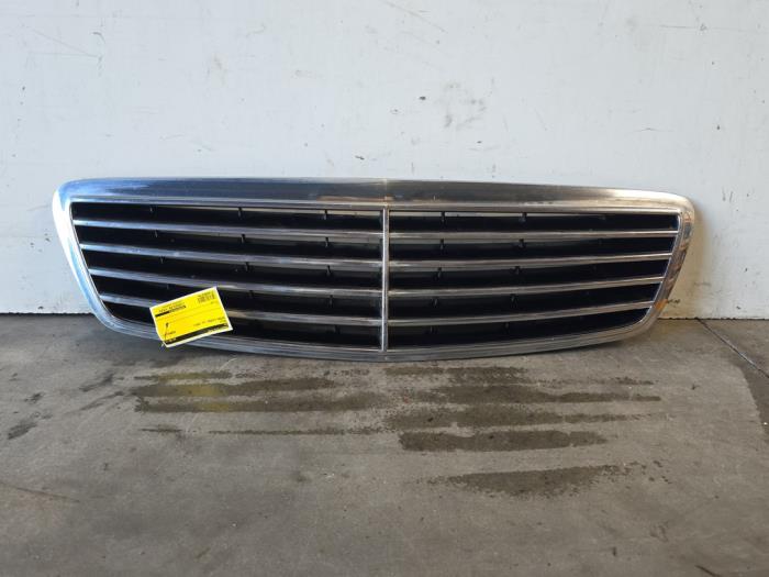 Grille Mercedes S-Klasse