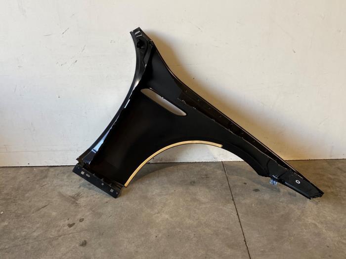 Front wing, left Mercedes AMG GT