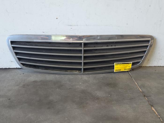 Grille Mercedes S-Klasse