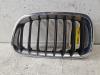 BMW 1 serie (F20) 116i 1.6 16V Grille