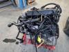 BMW X5 (E53) 3.0d 24V Motor