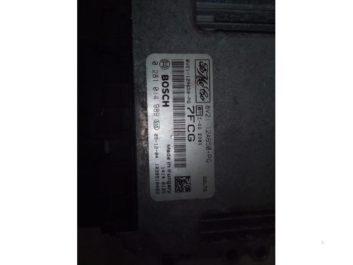 Gebruikte Computer Motormanagement Ford Fiesta 6 (JA8) 1.6 TDCi 16V Prijs € 29,98 Margeregeling aangeboden door Autodemontage Tegelen