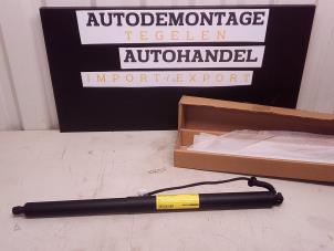 Gebruikte Kofferdekseldemper rechts-achter Tesla Model 3 Prijs € 179,99 Margeregeling aangeboden door Autodemontage Tegelen