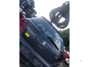 Gebruikte Achterklep Peugeot 307 (3A/C/D) 1.6 16V Prijs € 80,00 Margeregeling aangeboden door Autorecycling Bart