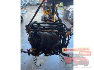 Gebruikte Motor Ford Focus 2 1.6 16V Prijs € 300,00 Margeregeling aangeboden door Autorecycling Chino B.V.