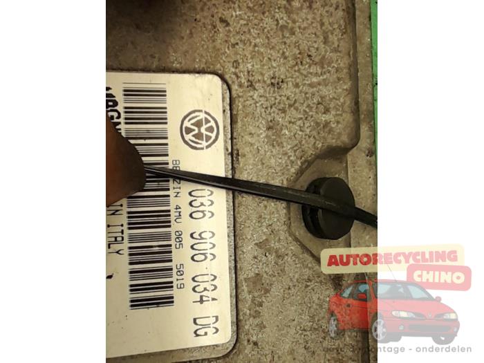 Gebruikte Computer Motormanagement Seat Ibiza III (6L1) 1.4 16V 100 Prijs € 71,00 Margeregeling aangeboden door Autorecycling Chino B.V.