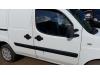 Fiat Doblo Cargo (223) 1.3 D 16V Multijet DPF Deur 2Deurs rechts