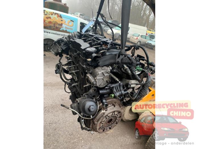 Gebruikte Motor Ford Fiesta 6 (JA8) 1.6 TDCi 16V Prijs € 475,00 Margeregeling aangeboden door Autorecycling Chino B.V.