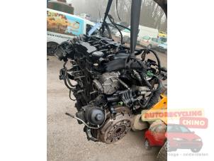 Gebruikte Motor Ford Fiesta 6 (JA8) 1.6 TDCi 16V Prijs € 475,00 Margeregeling aangeboden door Autorecycling Chino B.V.