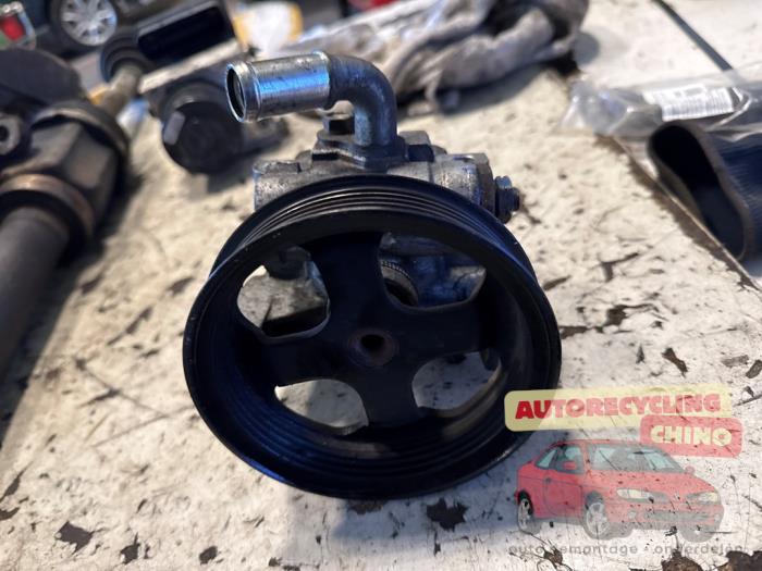 Gebruikte Servopomp Ford Transit Connect 1.8 TDdi LWB Euro 4 Prijs € 30,00 Margeregeling aangeboden door Autorecycling Chino B.V.