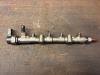 Volkswagen Polo V (6R) 1.2 TDI 12V BlueMotion Common rail (Injectie)
