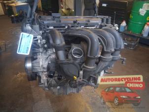 Gebruikte Motor Ford Focus 2 C+C 1.6 16V Prijs € 450,00 Margeregeling aangeboden door Autorecycling Chino B.V.