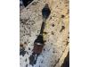 Opel Corsa D 1.3 CDTi 16V ecoFLEX Aandrijfas links-voor