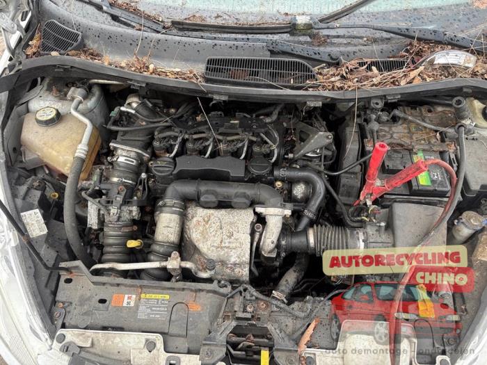 Gebruikte Motor Ford Fiesta 6 (JA8) 1.6 TDCi 16V Prijs € 300,00 Margeregeling aangeboden door Autorecycling Chino B.V.