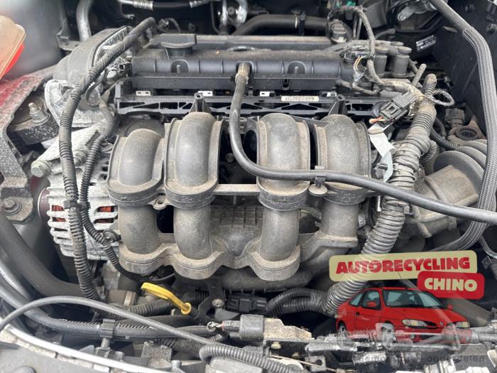 Gebruikte Motor Ford Focus 3 1.6 Ti-VCT 16V 125 Prijs € 1.250,00 Margeregeling aangeboden door Autorecycling Chino B.V.