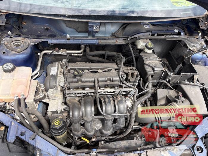 Gebruikte Motor Ford Focus 2 1.6 Ti-VCT 16V Prijs € 500,00 Margeregeling aangeboden door Autorecycling Chino B.V.