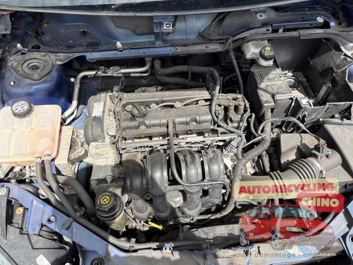 Gebruikte Versnellingsbak Ford Focus 2 1.6 Ti-VCT 16V Prijs € 350,00 Margeregeling aangeboden door Autorecycling Chino B.V.