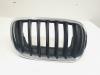 BMW X5 (E70) 30d xDrive 3.0 24V Grille