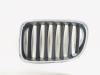 BMW X1 (E84) sDrive 18d 2.0 16V Grille