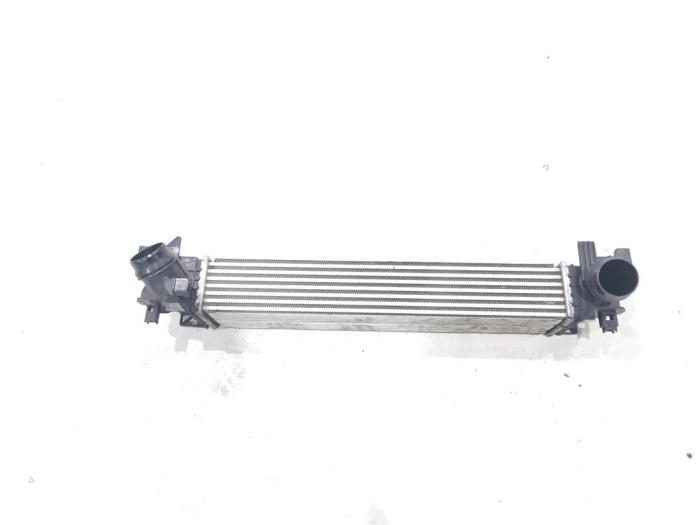 Gebruikte Intercooler BMW 2 serie Active Tourer (F45) 218i 1.5 TwinPower Turbo 12V Prijs € 149,00 Margeregeling aangeboden door GEJO Revisie & Onderdelen BV