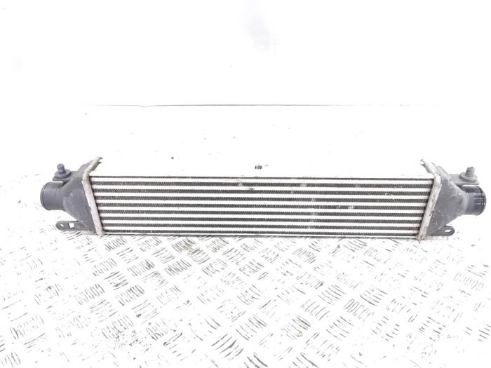Gebruikte Intercooler Fiat Doblo Cargo (263) 1.3 D Multijet Prijs € 11,00 Margeregeling aangeboden door GEJO Revisie & Onderdelen BV