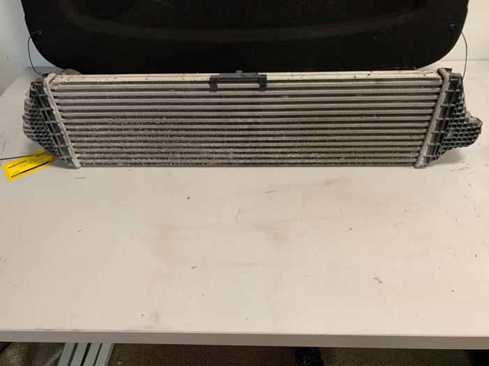 Gebruikte Intercooler Ford Focus 4 1.0 Ti-VCT EcoBoost 12V 100 Prijs € 149,99 Margeregeling aangeboden door DVZ Carparts