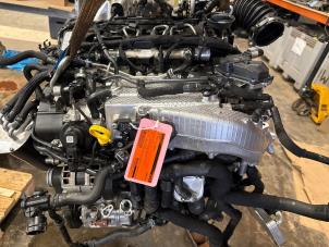 Gebruikte Motor Volkswagen Golf VIII (CD1) 2.0 TDI BlueMotion 16V Prijs € 3.999,99 Inclusief btw aangeboden door DVZ Carparts