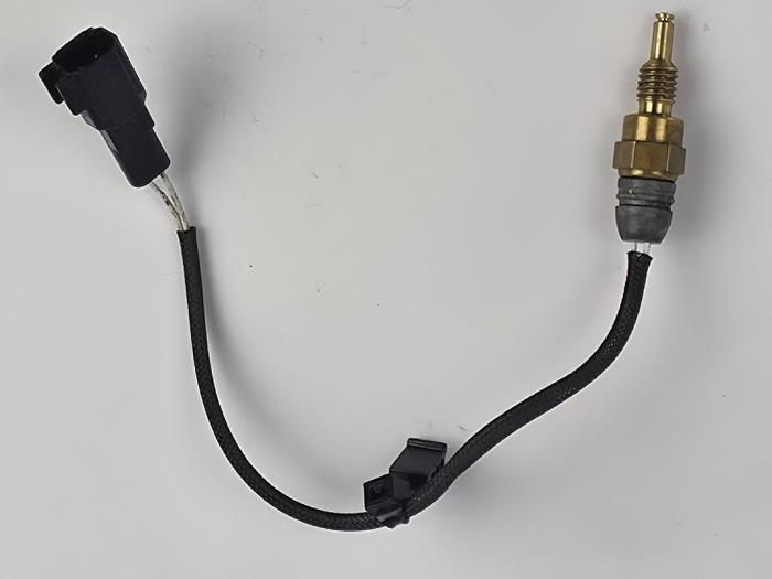 Gebruikte Temperatuursensor Motor Ford Grand C-Max (DXA) 1.0 Ti-VCT EcoBoost 12V 125 Prijs € 24,20 Inclusief btw aangeboden door WH Carparts
