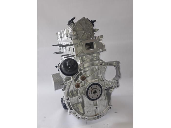 Gereviseerde Motor Ford Transit Connect (PJ2) 1.5 TDCi Prijs € 2.601,50 Inclusief btw aangeboden door WH Carparts