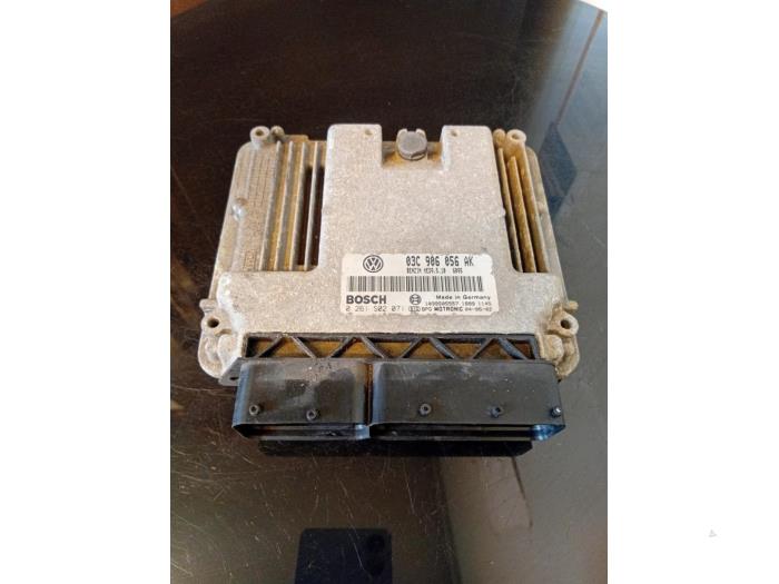 Gebruikte Computer Motormanagement Volkswagen Golf V (1K1) 1.6 FSI 16V Prijs € 70,00 Margeregeling aangeboden door Umit Sloperij